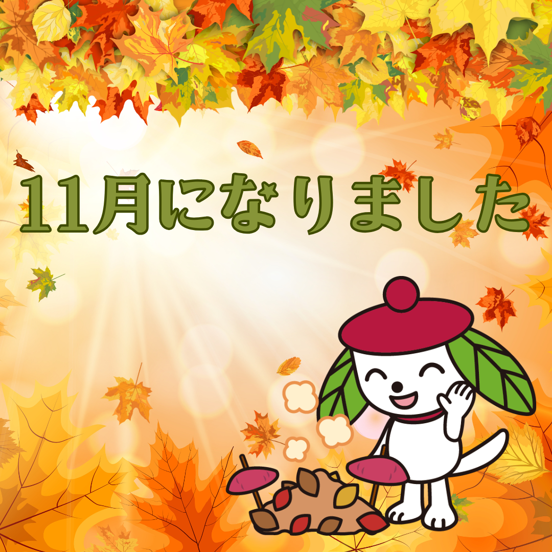 11月になりました