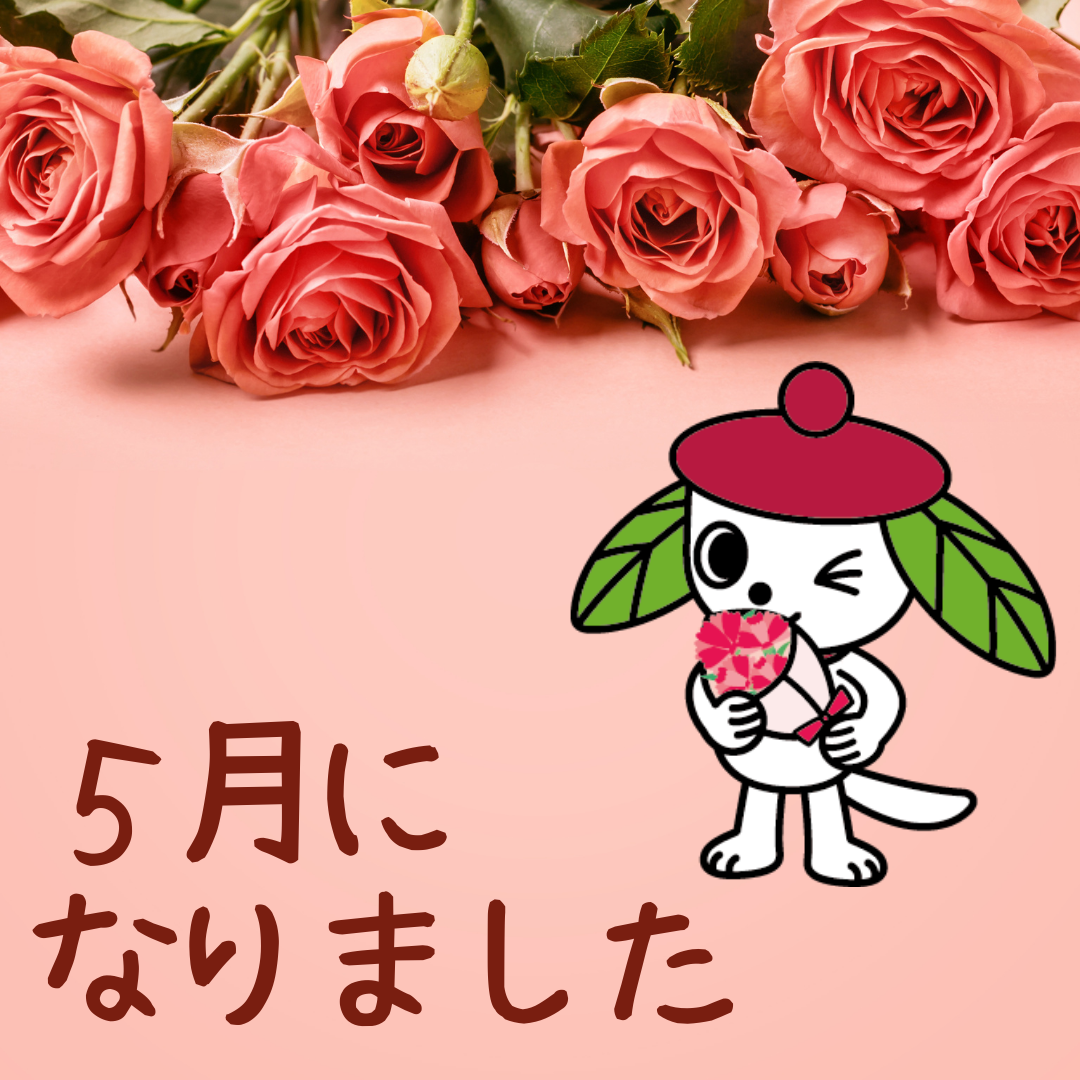 ５月になりました