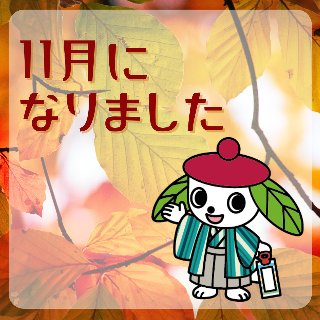 11月になりました