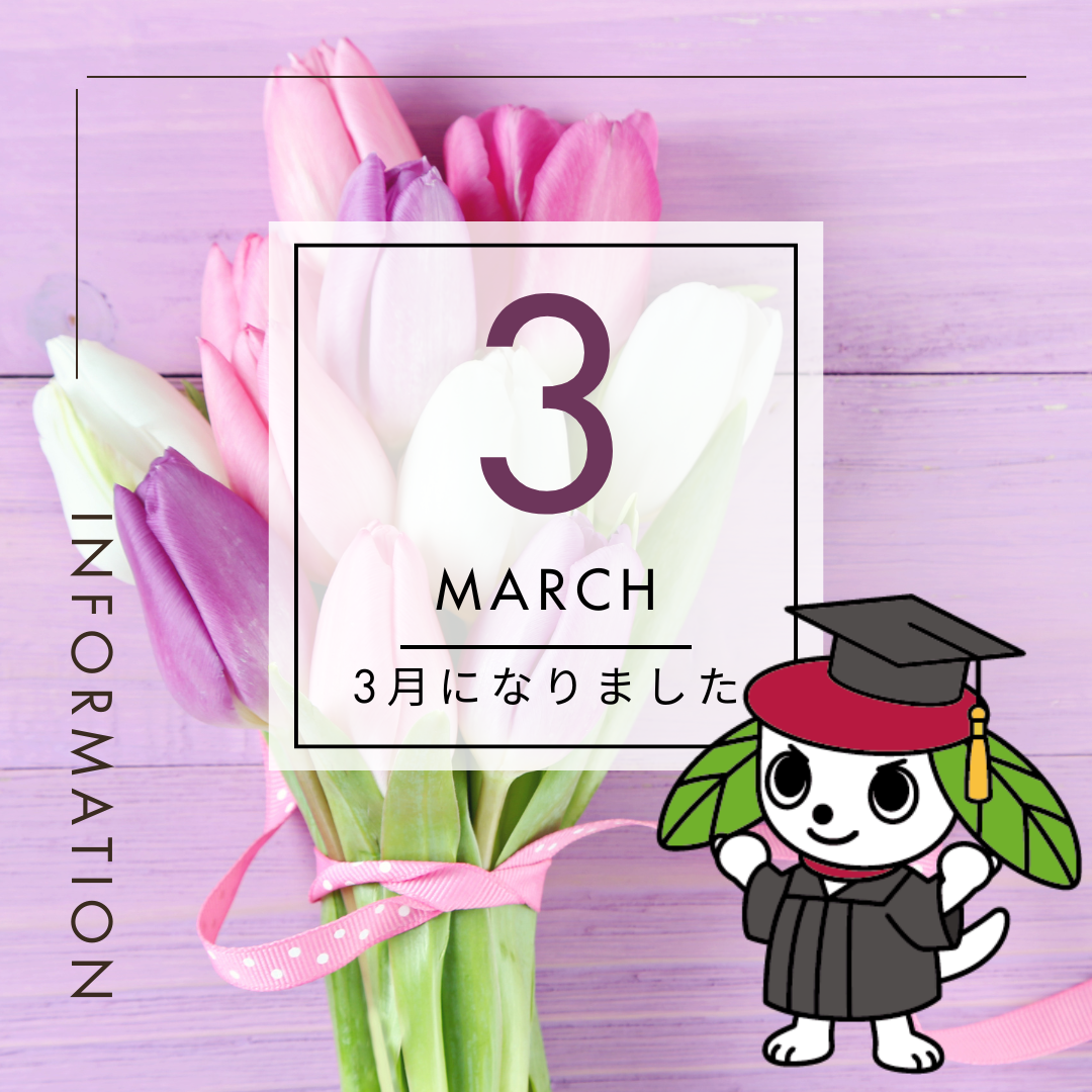 3月になりました